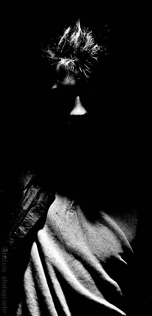 In the shadow