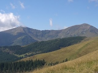 Przeniesienie...