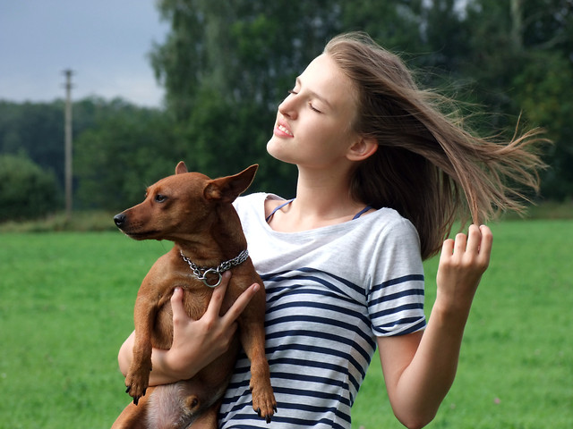 windy
