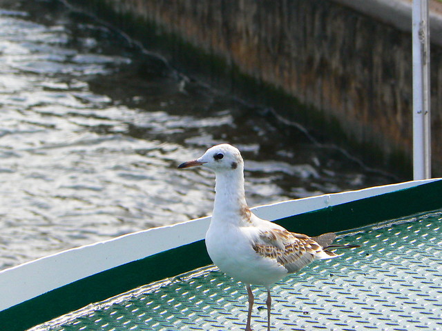 Hamburg