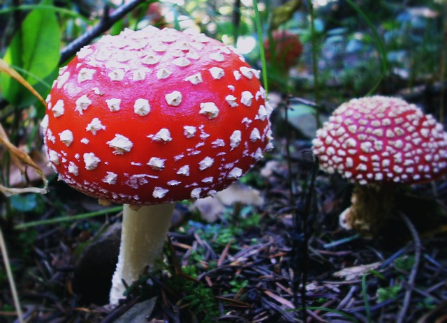 # 275 .