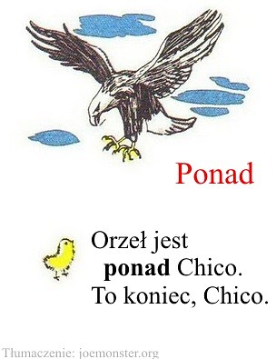 To koniec, Chico.