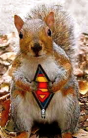 Superwiewir
