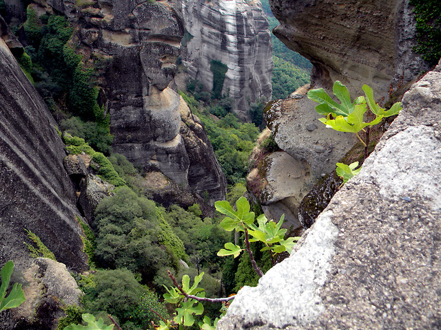 Grecja 2009
