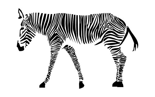 zebra.