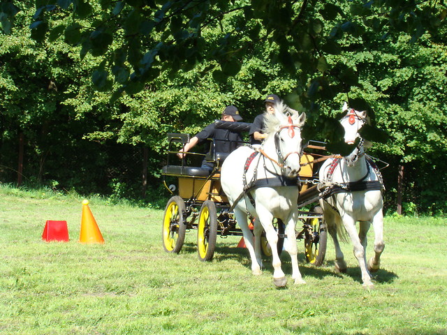 Narusa 2010