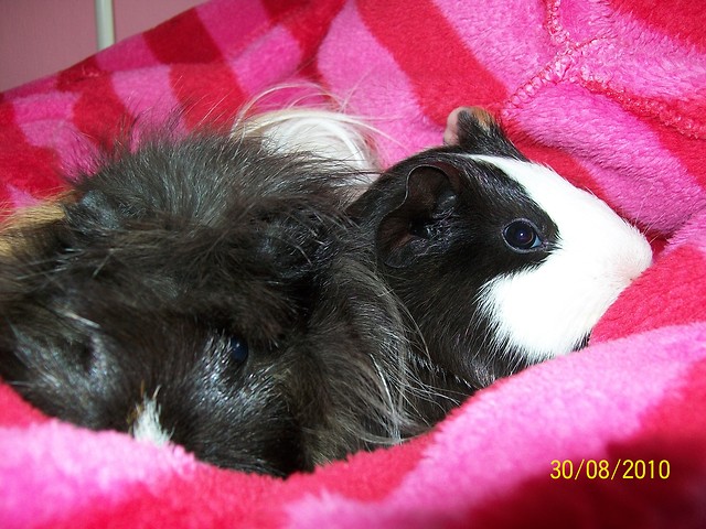 Moje kochane winki !!! :*