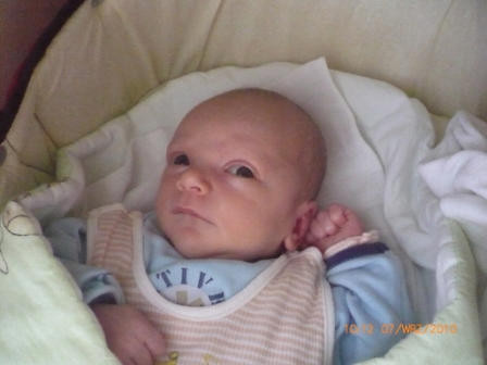 Kubu ;***