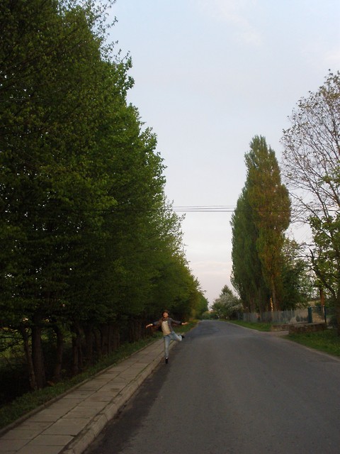 Dancing among the trees