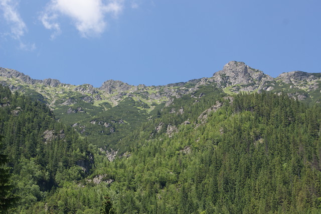 widok