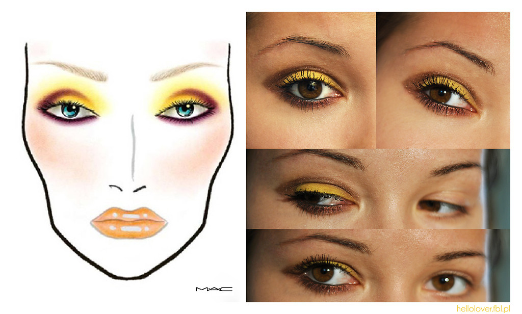 M.A.C. face chart