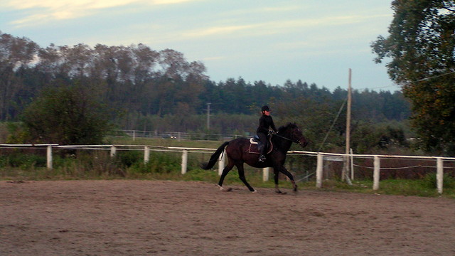 Felu ;****