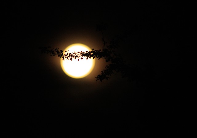 full moon...again.