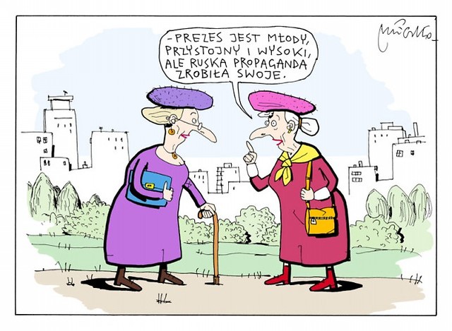 PREZES