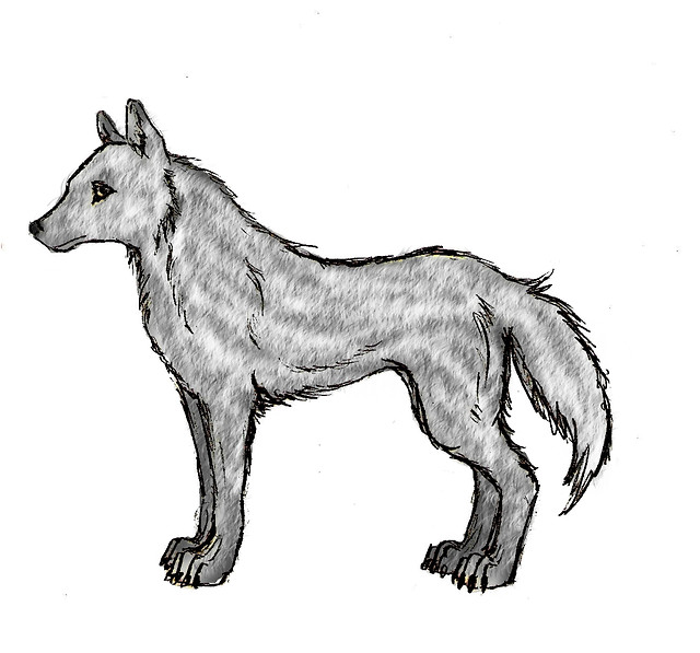 Wolf