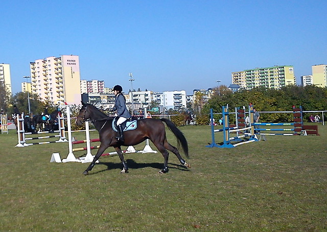 ZT-B Bydgoszcz 10.10.2010