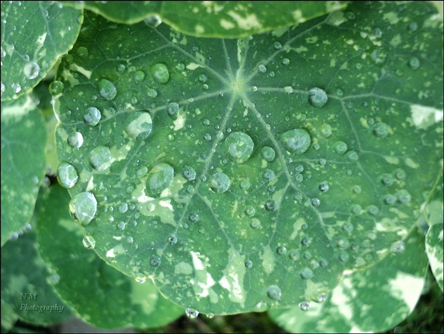 2.