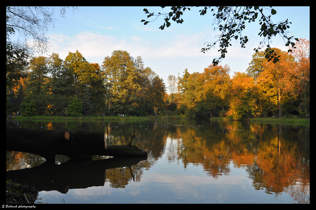Jesie w Pszczynie 10.10.2010