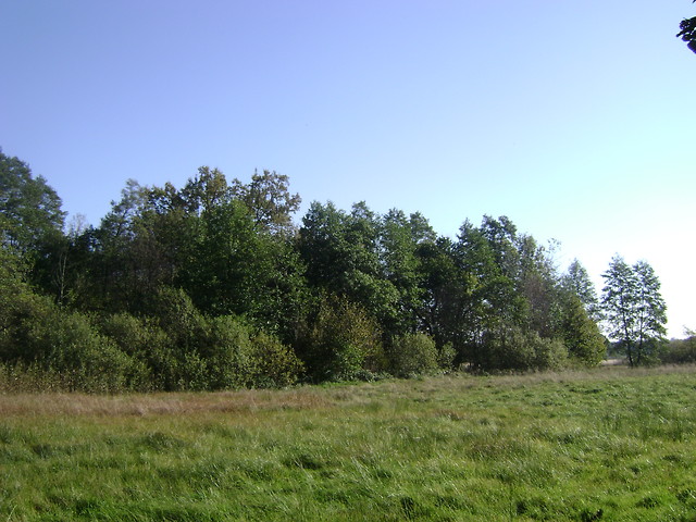 Padziernik 