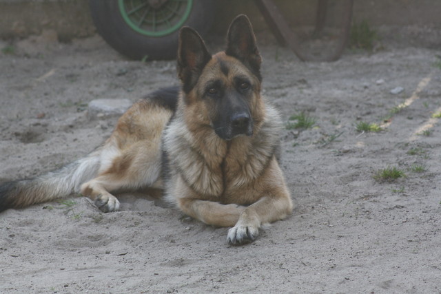 Nalka !!!; **