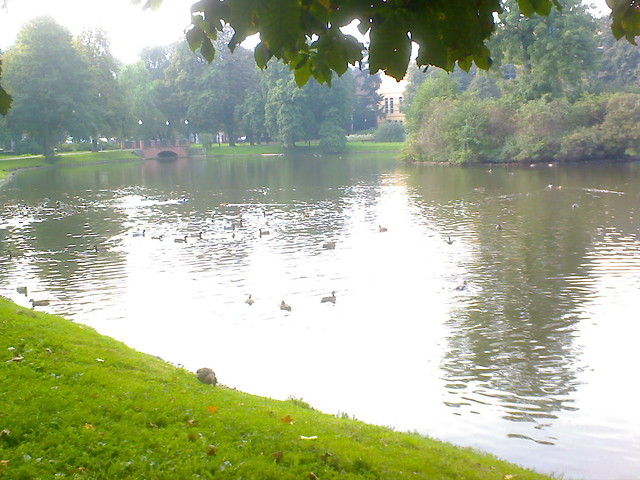 Park R