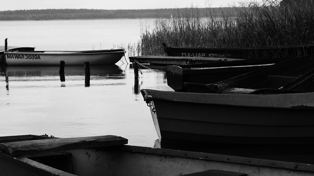 Mazury