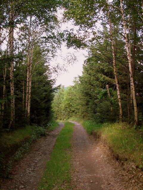 one way
