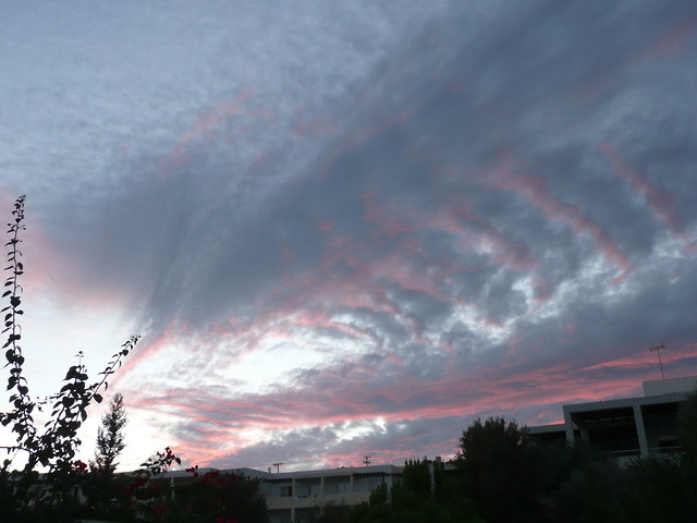 jesie (rodos)