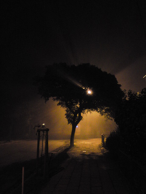 Mglista noc
