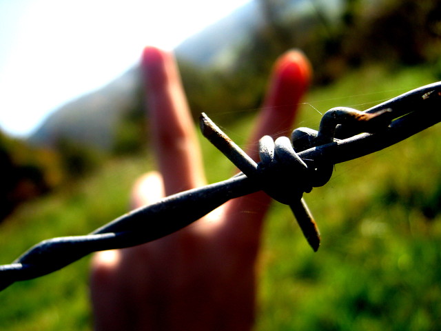 peace !.