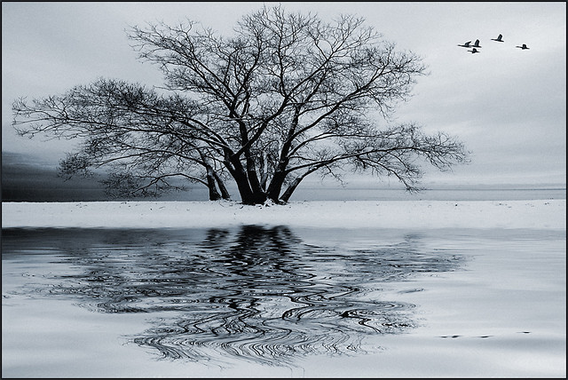 Winter.
