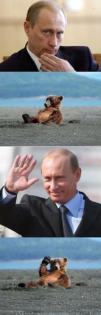 :P