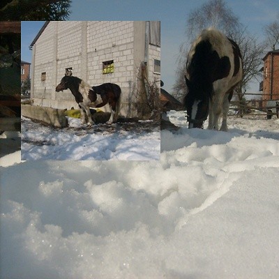 Malinka ;**