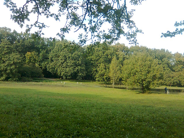 Dzewka :)