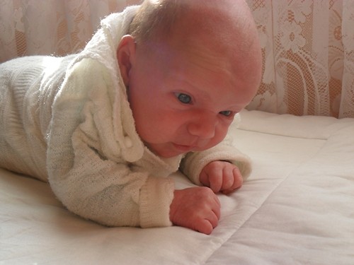Igor ;**