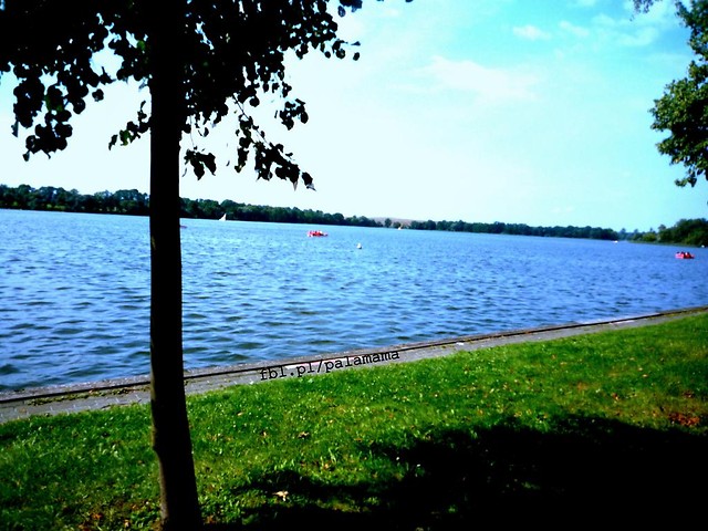 drzefko. 