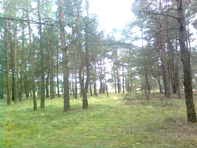 Karmazynowy przypyw