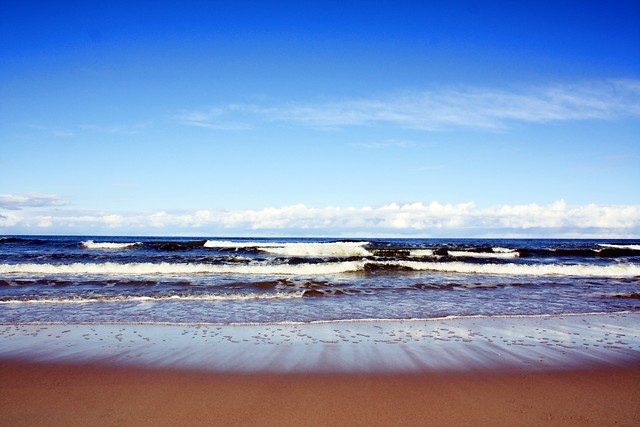 Morzee