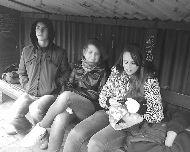 wajsy 2010