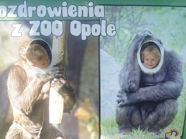 Moje dwa gorylki