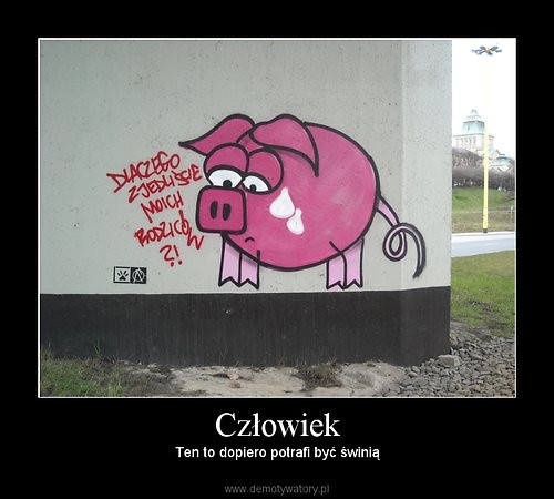 aha ; D