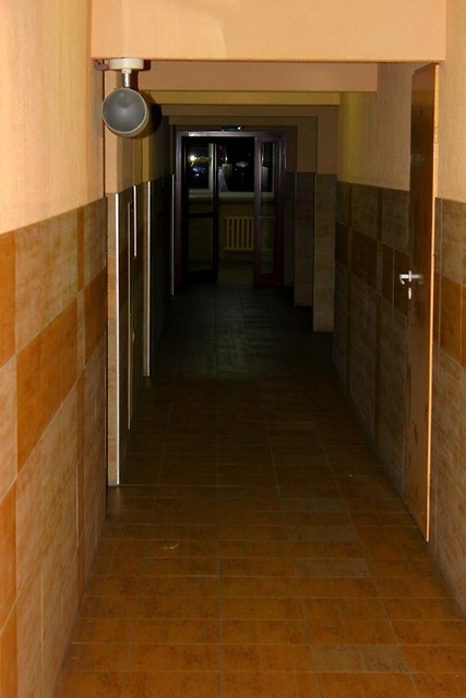 Akademik Horror Movie