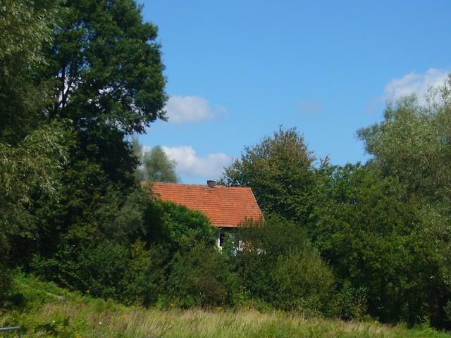 wisoczanka 