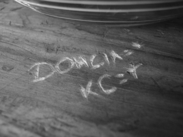 dzieo mojej Domi