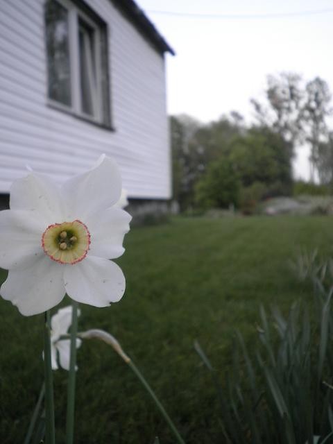 021