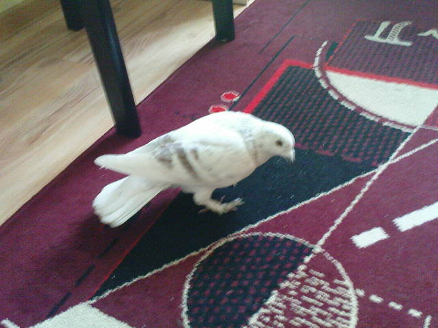 Dzie ktry zacz sie marnie