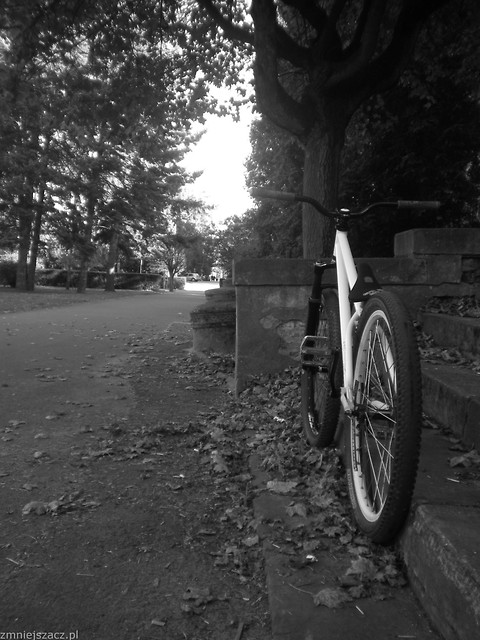 Bike ;p
