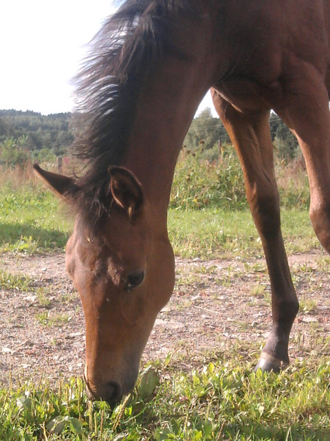 malenki :*