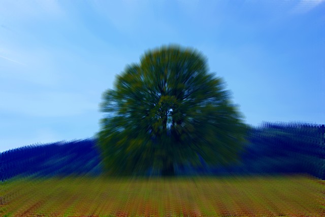 Dewko