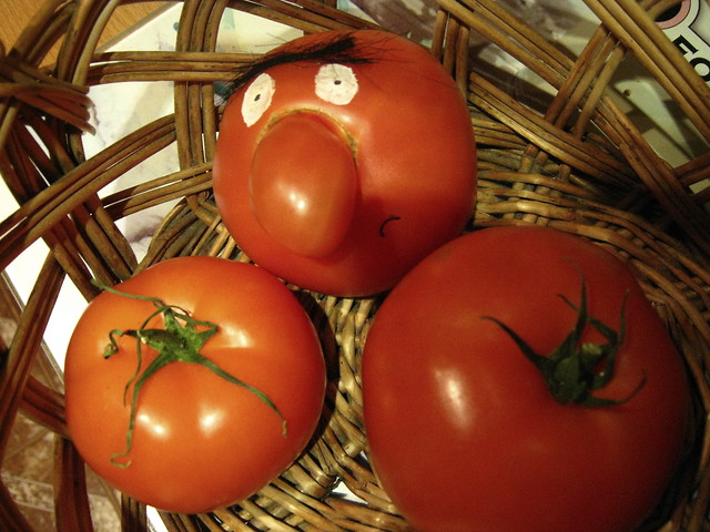 Towarzysze pomidorzy